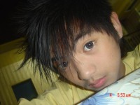 /album/photo-gallery-fame-junior-/boss-crazy-1ne-jpg/